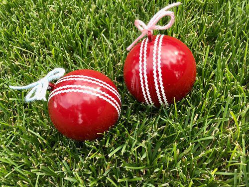 Cricket Ball - Gender Reveal